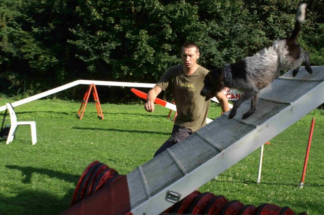 agility 2011-08